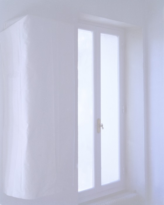 http://www.ronald-reyes.com/files/gimgs/th-18_Peau_de_cabinet.jpg